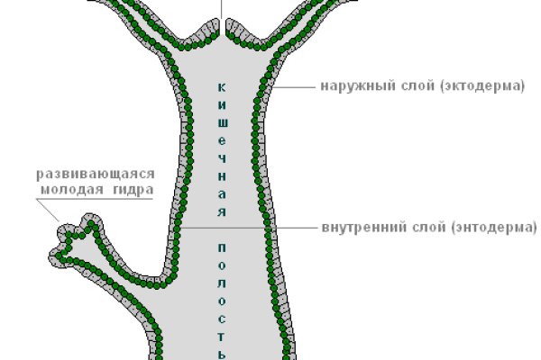 Кракен маркетплейс про