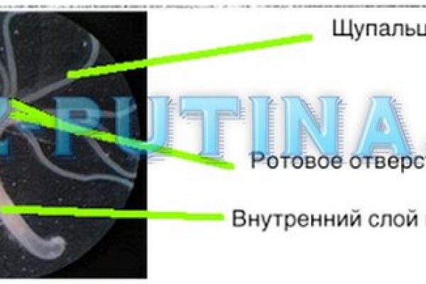 Мега зеркала тор онион мориарти кракен