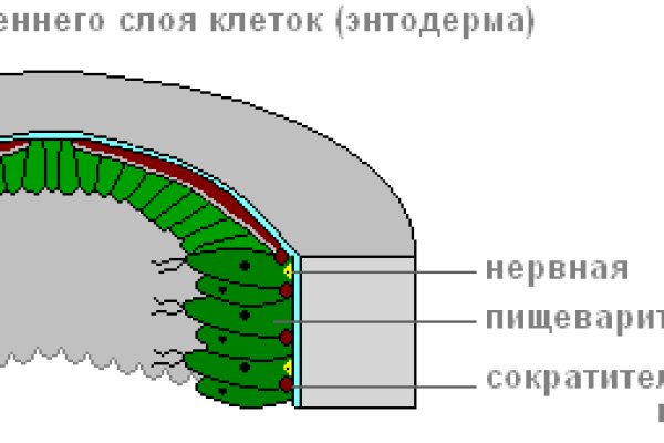 Кракен меф