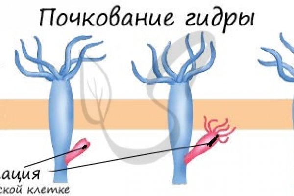 Кракен онлайн vtor run