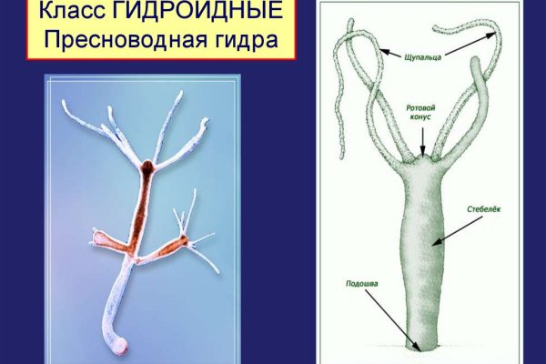 Кракен даркнет купить