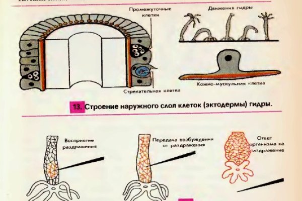 Кракен лучший маркетплейс